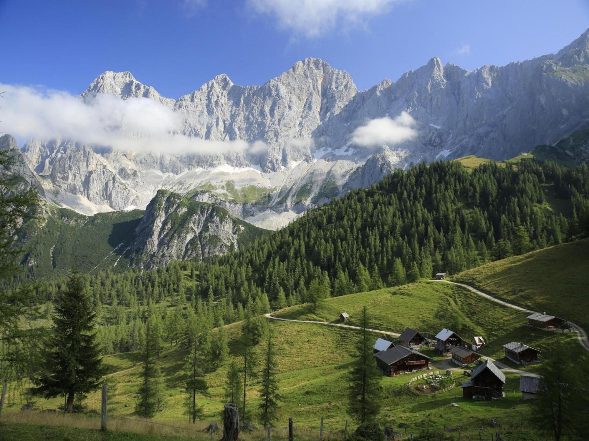 Hermann Apartment Ramsau am Dachstein